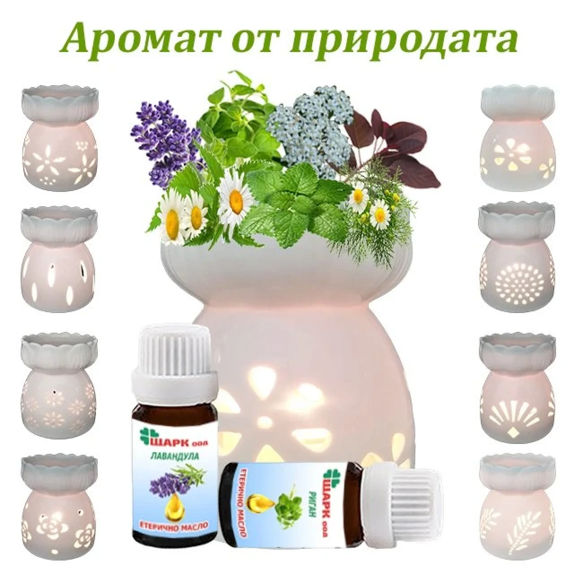 Aroma+lamp+set+with+two+essential+oils+of+lavender+and+oregano