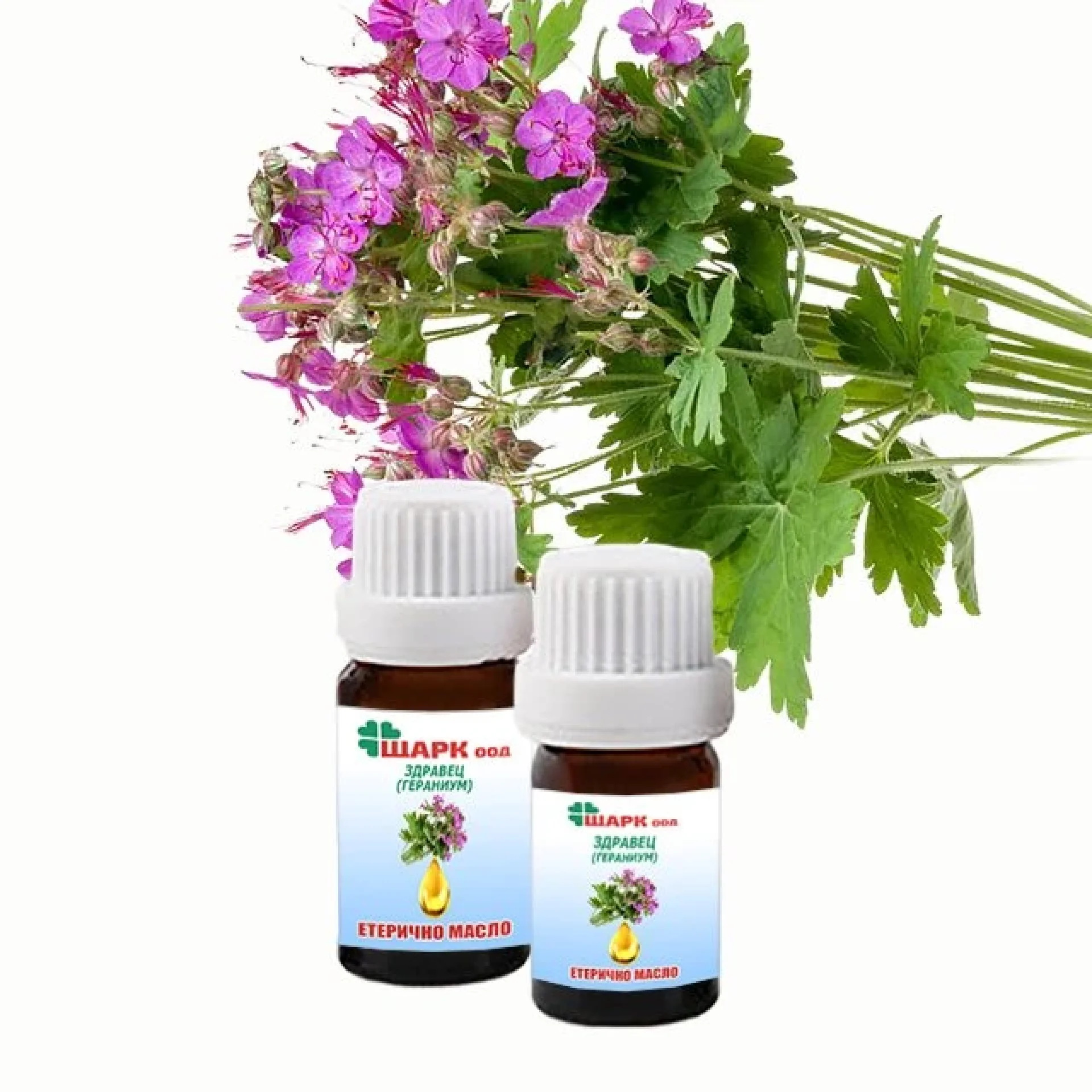 Zdravetz+%28geranium%29+essential+oil